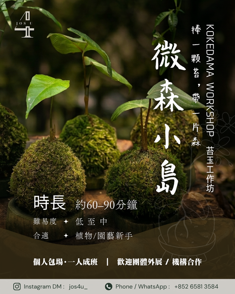 一張 kokedama 工作坊的宣傳海報，在木頭表面上展示了幾個苔球，並用中英文說明工作坊的細節。.