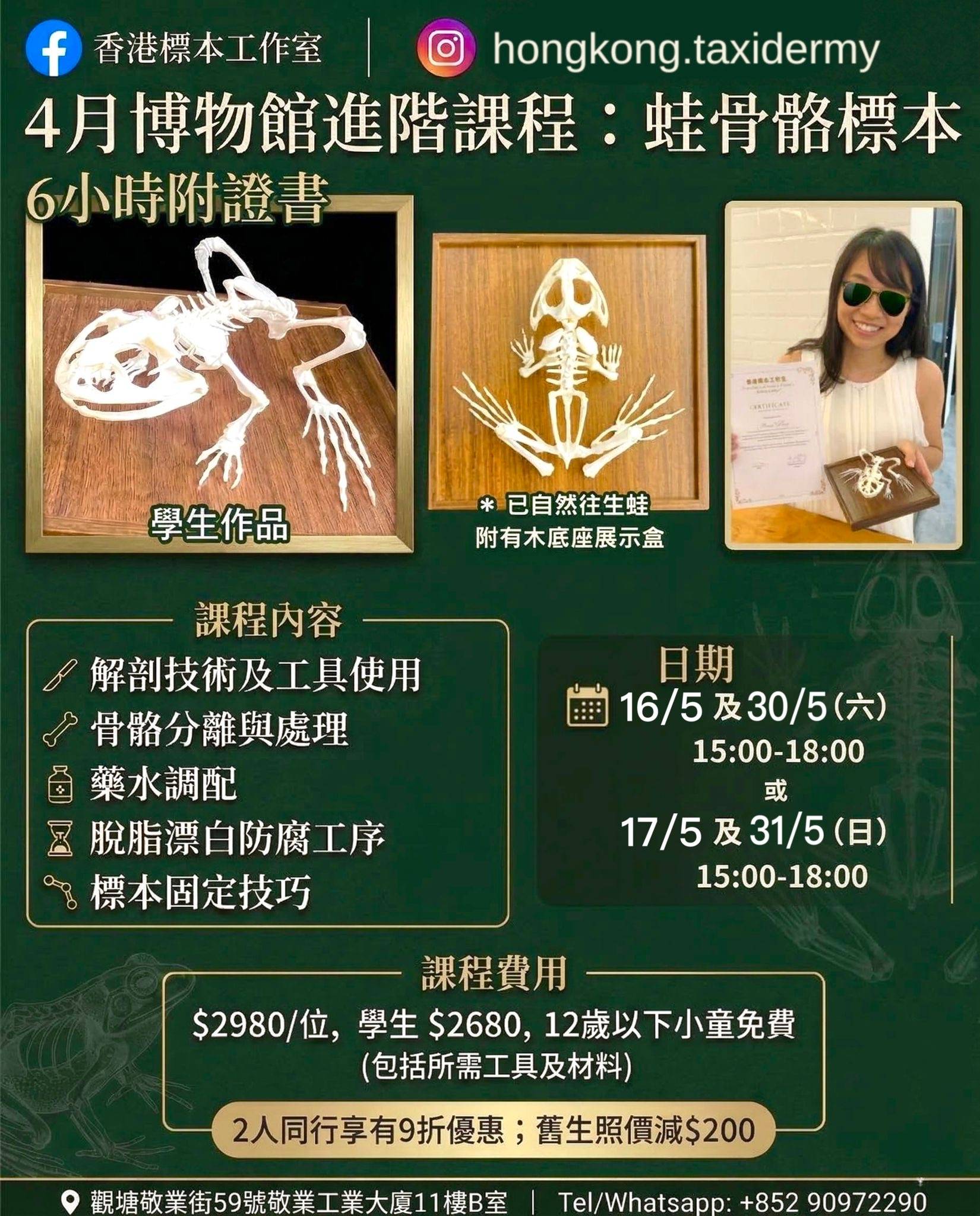 蛙骨標本工作坊的宣傳海報，展示骨骼模型、課程詳情、時間表、費用，以及一位手持標本、面帶微笑的女士。文字為中文。.