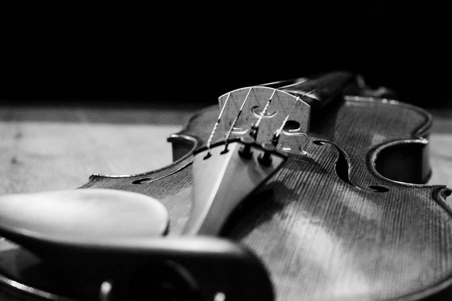 Photo violin teacher