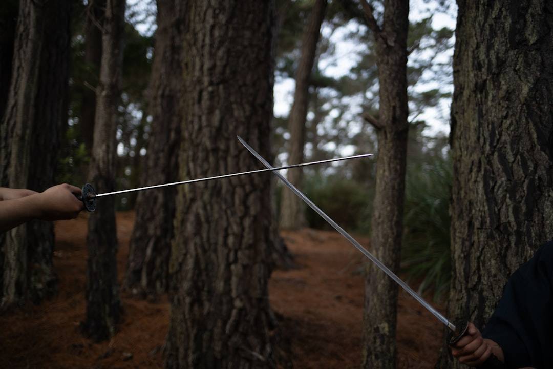 Photo sword fighting practice